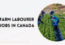 Farm Labourer Jobs in Canada