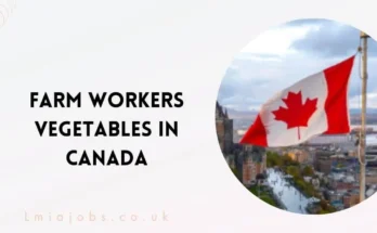 Farm Workers Vegetables in Canada For Foreigners