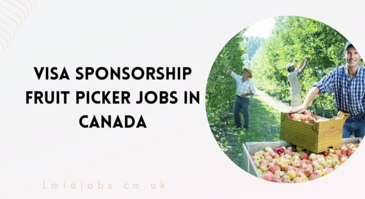 Visa Sponsorship Fruit Picker Jobs in Canada
