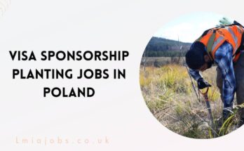 Visa Sponsorship Planting Jobs in Poland