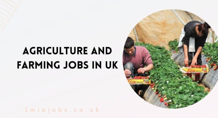 Agriculture and Farming Jobs in UK