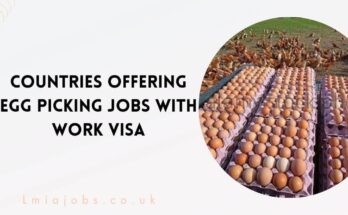 Countries Offering Egg Picking Jobs With Work VISA