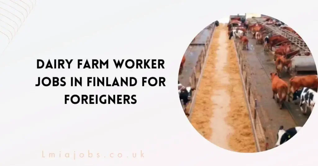 Dairy Farm Worker Jobs in Finland