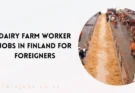 Dairy Farm Worker Jobs in Finland