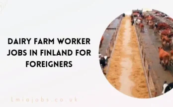 Dairy Farm Worker Jobs in Finland