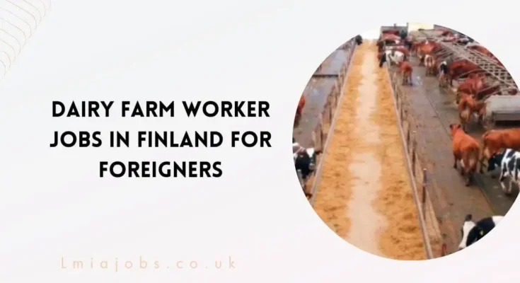 Dairy Farm Worker Jobs in Finland