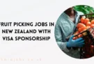 Fruit Picking Jobs in New Zealand