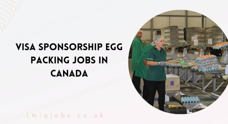 Visa Sponsorship Egg Packing Jobs in Canada