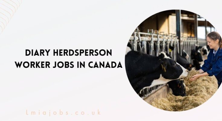 Diary Herdsperson Worker Jobs in Canada