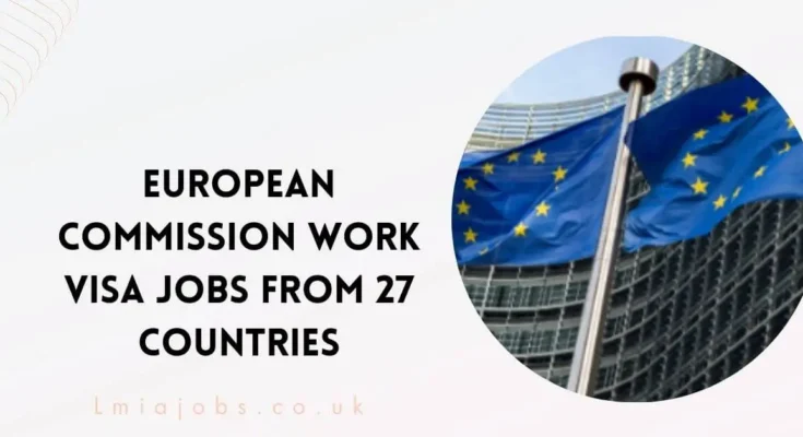 European Commission Work VISA