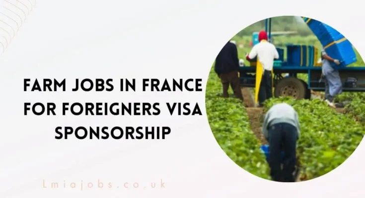 Farm Jobs in France