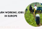 Farm Working Jobs in Europe