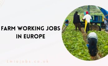 Farm Working Jobs in Europe