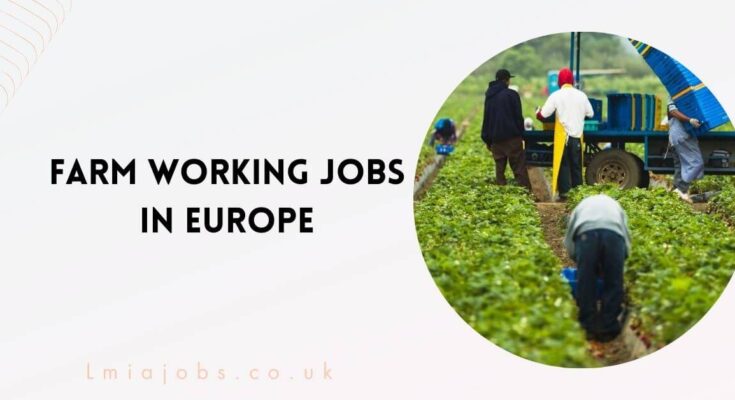 Farm Working Jobs in Europe