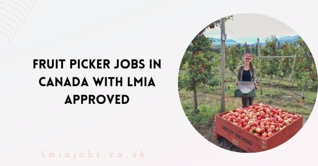 Fruit Picker Jobs in Canada with LMIA Approved