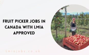 Fruit Picker Jobs in Canada with LMIA Approved