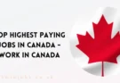 Top Highest Paying Jobs in Canada