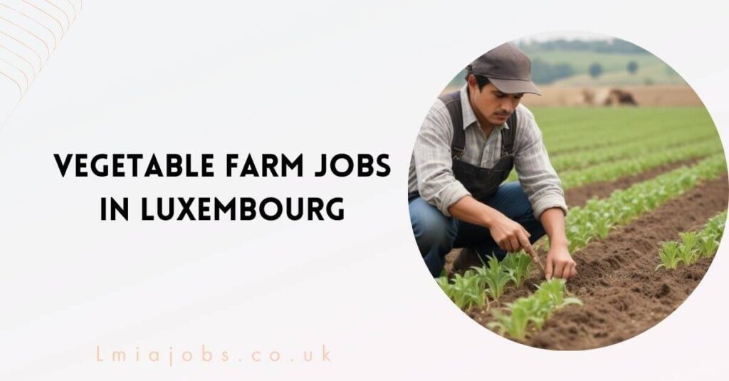 Vegetable Farm Jobs in Luxembourg