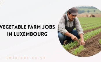 Vegetable Farm Jobs in Luxembourg