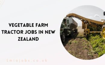 Vegetable Farm Tractor Jobs in New Zealand