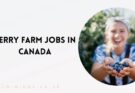 Berry Farm Jobs in Canada