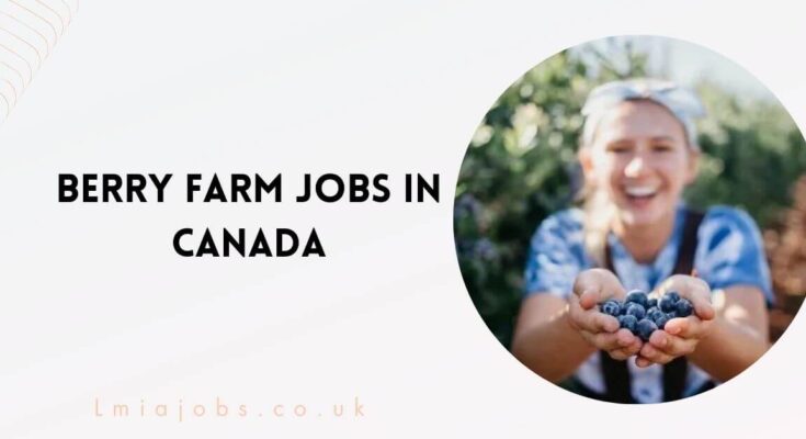 Berry Farm Jobs in Canada