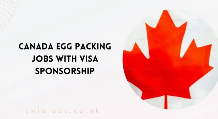 Canada Egg Packing Jobs