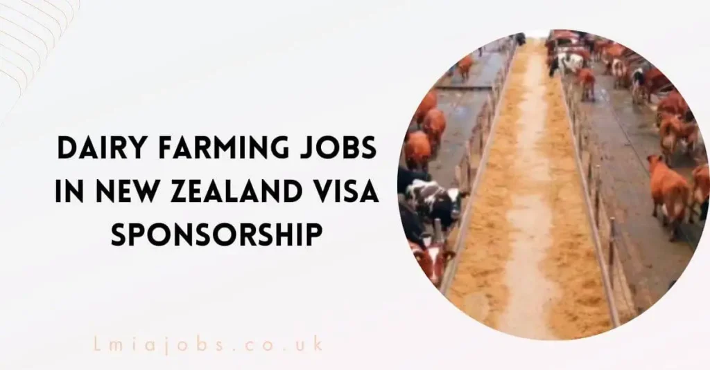 Dairy Farming Jobs in New Zealand