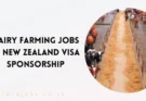 Dairy Farming Jobs in New Zealand