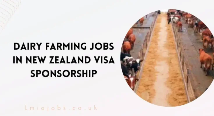 Dairy Farming Jobs in New Zealand