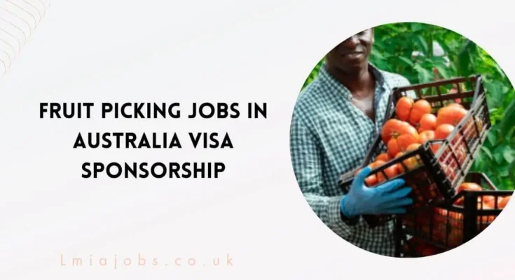 Fruit Picking Jobs in Australia with Visa Sponsorship