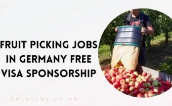 Fruit Picking Jobs in Germany