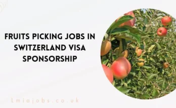 Fruits Picking Jobs in Switzerland