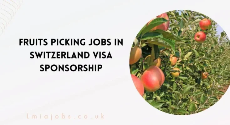 Fruits Picking Jobs in Switzerland