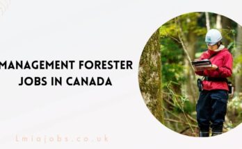 Management Forester Jobs in Canada