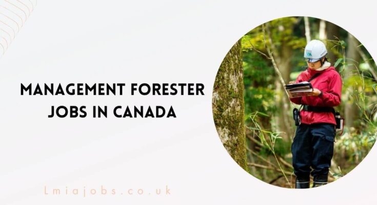 Management Forester Jobs in Canada