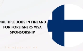 Multiple Jobs in Finland