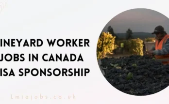 Vineyard Worker Jobs in Canada