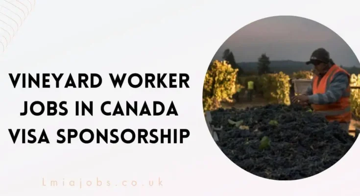 Vineyard Worker Jobs in Canada