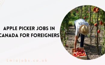 Apple Picker Jobs in Canada for Foreigners