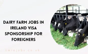 Dairy Farm Jobs in Ireland