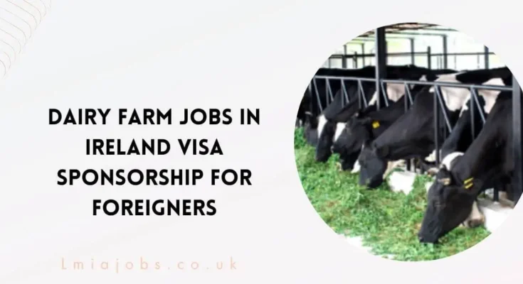 Dairy Farm Jobs in Ireland