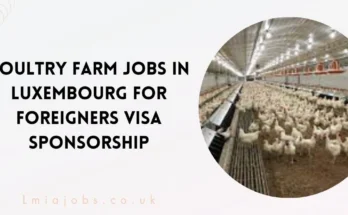 Poultry Farm Jobs in Luxembourg for Foreigners 