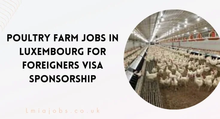 Poultry Farm Jobs in Luxembourg for Foreigners 