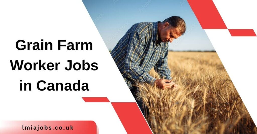 Grain Farm Worker Jobs in Canada