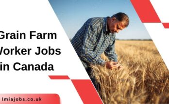 Grain Farm Worker Jobs in Canada