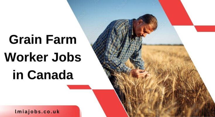 Grain Farm Worker Jobs in Canada