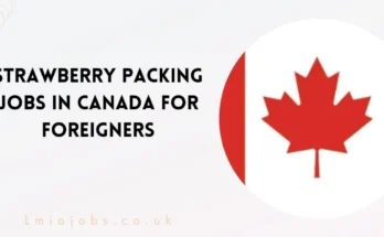 Strawberry Packing Jobs in Canada