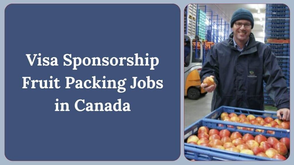 Visa Sponsorship Fruit Packing Jobs in Canada
