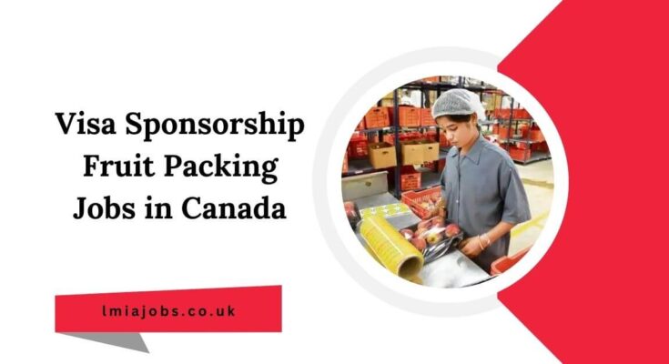 Visa Sponsorship Fruit Packing Jobs in Canada